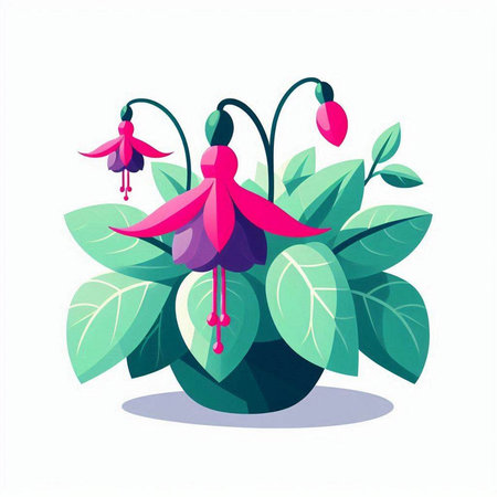 Fuchsia flower in pot. Vector flat illustration isolated on white background.のイラスト素材