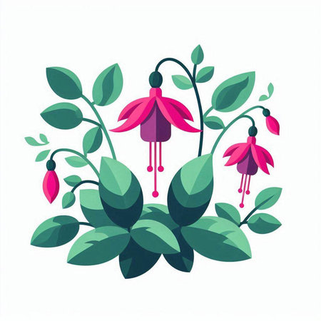 Fuchsia flower with leaves. Vector illustration in flat style.のイラスト素材