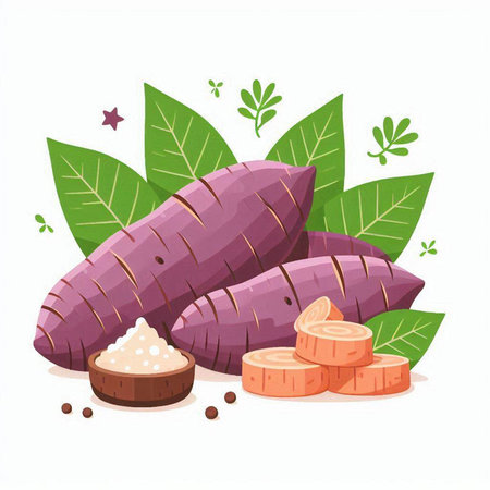 Sweet potato vector illustration isolated on white background. Fresh sweet potato with leaves.のイラスト素材