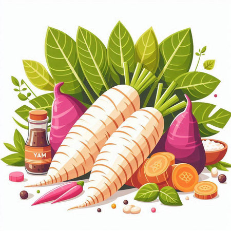 Illustration of Fresh Radish with Herbs and Spices.のイラスト素材