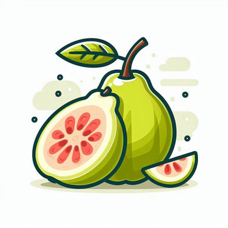 Vector illustration of green guava fruit isolated on white background. Hand drawn flat style.のイラスト素材