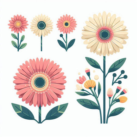 Vector set of hand drawn gerbera flowers on white background.のイラスト素材