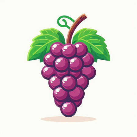 Grapes with leaves isolated on white background. Vector illustration.のイラスト素材