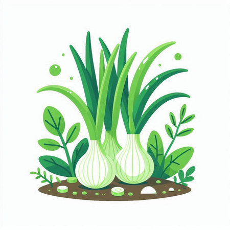 Green onion in the soil. Vector illustration isolated on white background.のイラスト素材