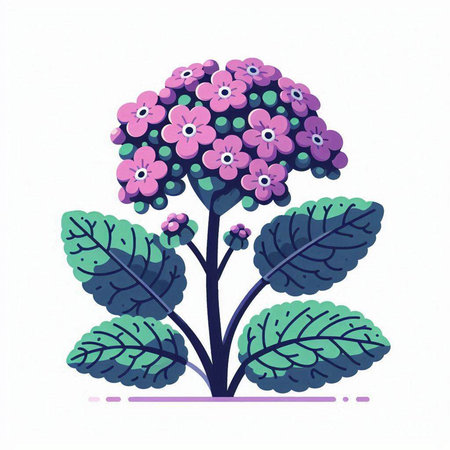 Hydrangea flower on white background. Vector illustration in cartoon style.のイラスト素材