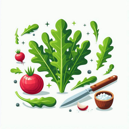Fresh arugula, radish, cherry tomato, pepper, knife. Vector illustrationのイラスト素材