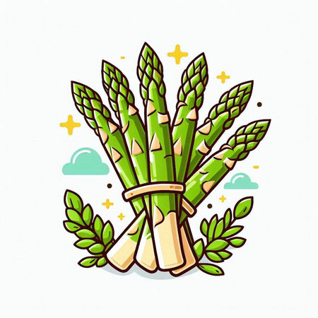 Bunch of fresh green asparagus with leaves. Vector illustration.のイラスト素材