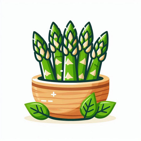 Green asparagus in a pot with leaves. Vector illustration.のイラスト素材
