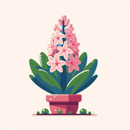 Pink hyacinth in a pot. Flat style vector illustration.のイラスト素材