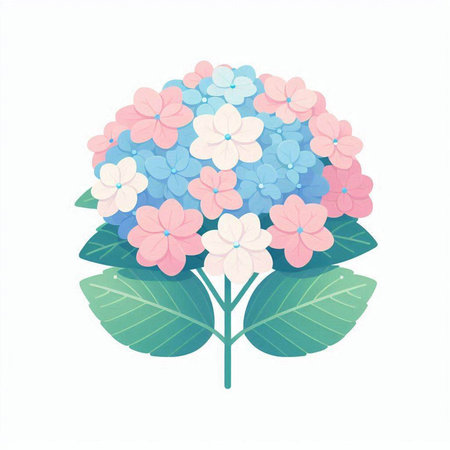 Hydrangea flowers isolated on a white background. Vector illustration.のイラスト素材