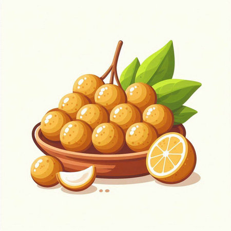 Illustration of longan fruit in a bowl. Vector illustration.のイラスト素材