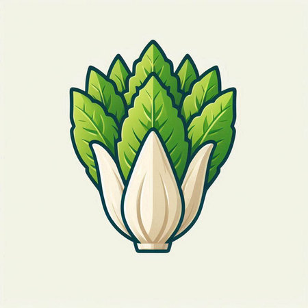 Balkan chicory vegetable icon. Vector illustration isolated on white background.のイラスト素材