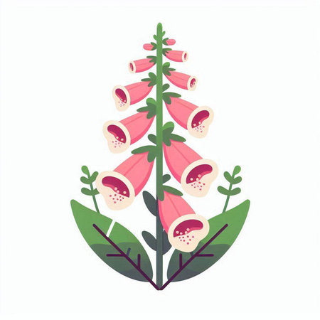 Digitalis purpurea or foxglove plant. Vector illustrationのイラスト素材
