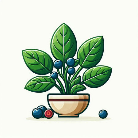 Blueberry plant in a pot on a white background. Vector illustration.のイラスト素材
