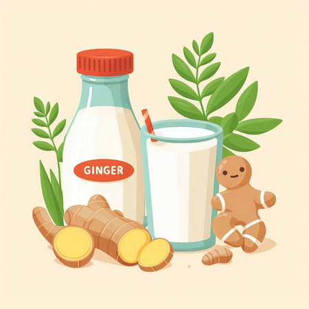 Ginger milk and ginger root. Vector illustration in cartoon style.のイラスト素材