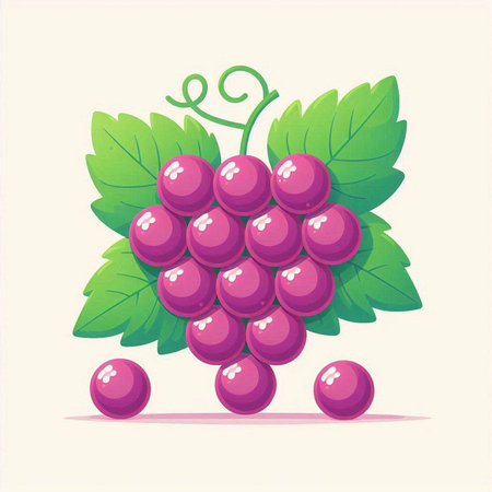 Grapes with leaves on a white background. Vector illustration.のイラスト素材