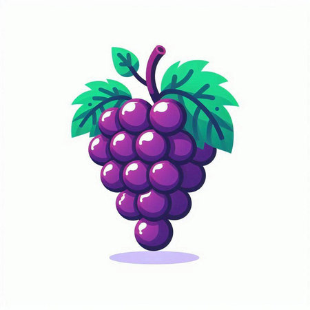 Grapes icon isolated on white background. Vector illustration in cartoon style.のイラスト素材