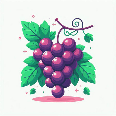 Grapes on white background. Vector illustration in flat style.のイラスト素材
