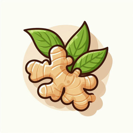 Ginger vector icon. Hand drawn illustration of ginger vector icon for web designのイラスト素材