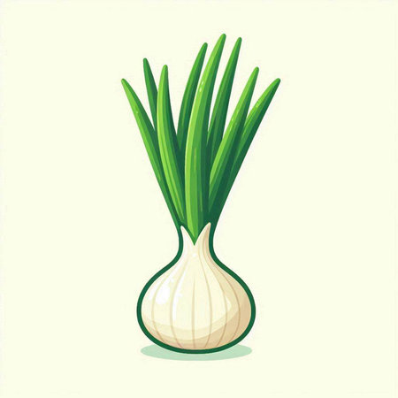 Illustration of fresh green onion on a white background. Vector illustrationのイラスト素材