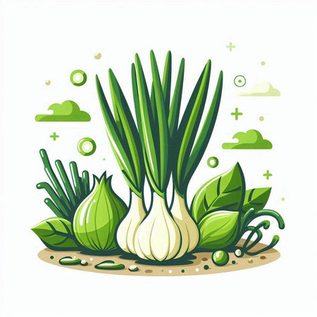Fresh green onion and garlic on a white background. Vector illustration.のイラスト素材