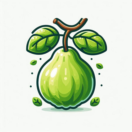 Avocado fruit vector illustration. Hand drawn cartoon style. Isolated on white background.のイラスト素材