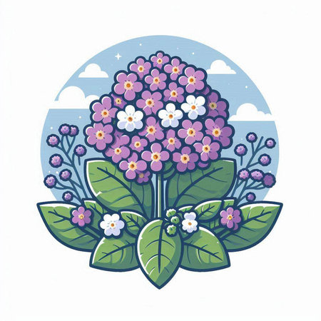 Vector illustration of a hydrangea flower in the circle.のイラスト素材