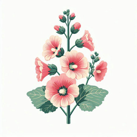 Pink hollyhock flowers isolated on white background. Vector illustration.のイラスト素材