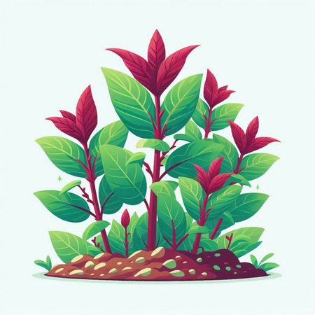 Illustration of a green plant with red leaves on a blue backgroundのイラスト素材