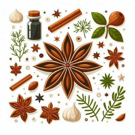 Cinnamon, star anise, cloves, cinnamon sticks and cloves. Vector illustration.のイラスト素材