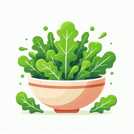 Green salad leaves in a bowl isolated on white background. Vector illustration.のイラスト素材