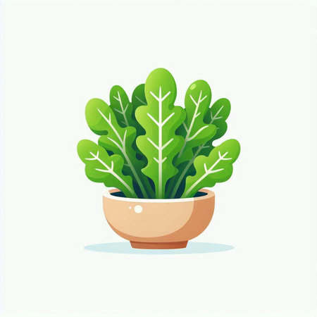 Lettuce in a pot. Vector illustration in flat style.のイラスト素材