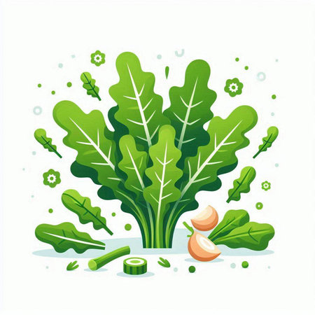 Vector illustration of fresh green lettuce, onion, garlic, watercress.のイラスト素材