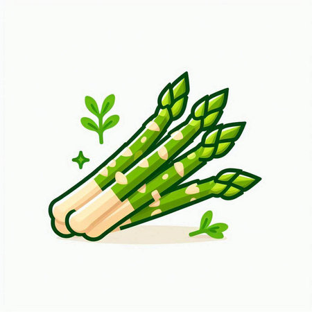 Fresh green asparagus. Vector illustration isolated on white background.のイラスト素材