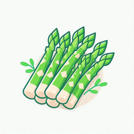 Asparagus icon. Vector illustration of green asparagus.のイラスト素材