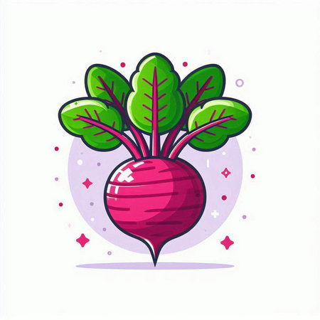 Beetroot vegetable icon. Vector illustration of fresh beetroot.のイラスト素材