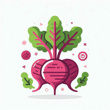 Beetroot vector flat icon. Vegetarian food, healthy food, organic nutrition, vegetarian food.のイラスト素材