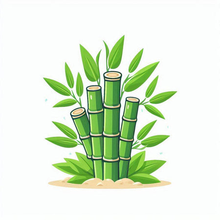Bamboo plant with green leaves isolated on white background. Vector illustration.のイラスト素材