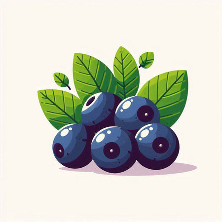 Blueberry fruit with leaves on white background. Vector illustration in cartoon style.のイラスト素材