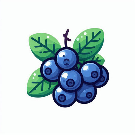 Blueberry vector illustration. Isolated berry on white background.のイラスト素材
