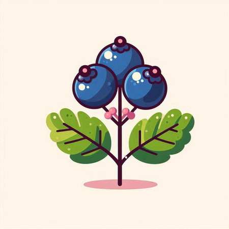 Blueberry on branch design, Fruit healthy organic food sweet and nature theme Vector illustrationのイラスト素材