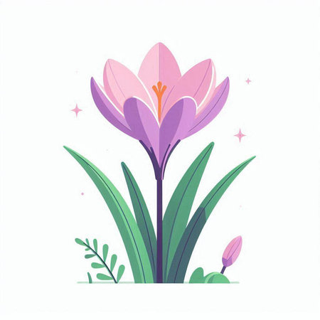 Crocuses. Spring flower. Vector illustration in flat style.のイラスト素材