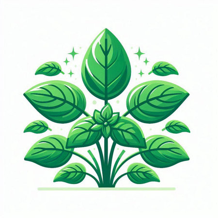 Illustration of a green plant with leaves on a white background.のイラスト素材