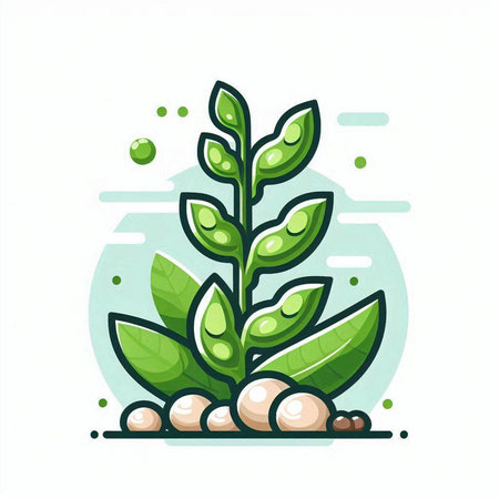 Vector illustration of green soybean plant in flat style on white background.のイラスト素材