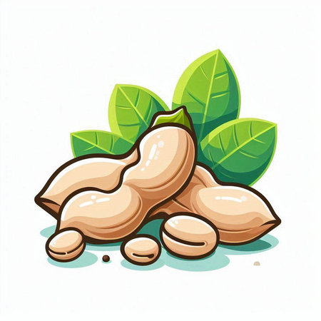 Tamarind on white background. Vector illustration of tamarind.のイラスト素材
