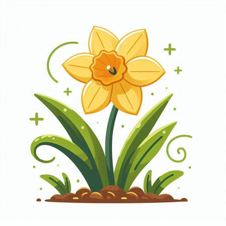 Daffodil flower vector illustration isolated on white background. Spring flower.のイラスト素材