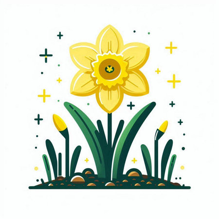 Daffodil flower in the garden with stars. Vector illustration.のイラスト素材
