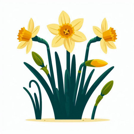 Daffodils in a pot on a white background. Vector illustration.のイラスト素材
