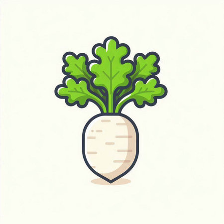 Radish. Vector illustration. Isolated on a white background.のイラスト素材