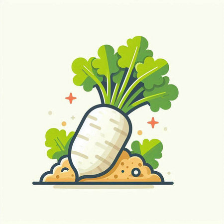 Radish vector illustration. Vegetable icon. Healthy food concept.のイラスト素材
